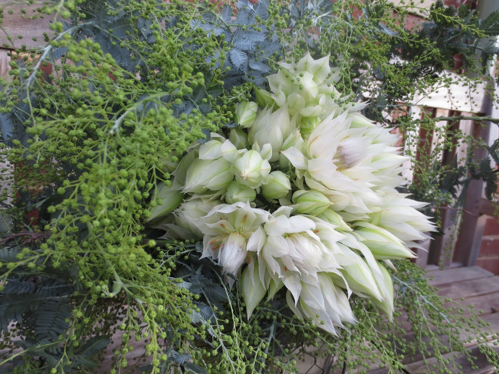 white flowers
