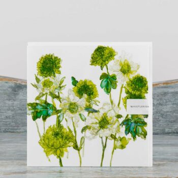 Gift Card Scabiosa Green