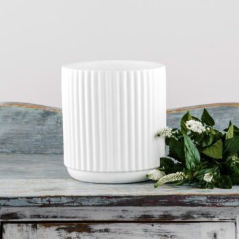 ceramic white matte cylinder vase short